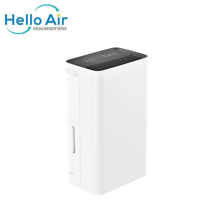 Living Room Dehumidifier R290a